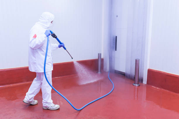 Best Soft Washing for Delicate Surfaces in Indian Hills, TX